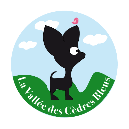 Logo de l'élevage de chihuahuas de la vallée des cèdes bleus - chiots disponibles à la vente