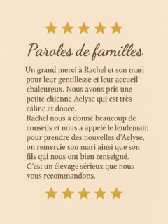 ✨ Nouveau témoignage plein de douceur ✨
Merci à cette adorable famille pour leur confiance et leurs mots si touchants ❤️« Un grand merci à Rachel et son mari pour leur gentillesse et leur accueil chaleureux. Nous avons pris une petite chienne Aelyse qui est très câline et douce. Rachel nous a donné beaucoup de conseils et nous a appelé le lendemain pour prendre des nouvelles d’Aelyse. On remercie son mari ainsi que son fils qui nous ont bien renseigné. C’est un élevage sérieux que nous vous recommandons. » 🐾💛🙏 Merci encore pour votre confiance et votre bienveillance.
🐶 Découvrez d’autres avis ici : https://g.page/r/CS8e3LWmlYwAEAE/review#ChihuahuasDeLaValléeDesCèdresBleus #ParolesDeFamilles #ÉlevageFamilial #ChihuahuaFrance #ChihuahuaAmour #ChihuahuaDeRace #ChihuahuaMignon #ChihuahuaLongPoil #ÉleveursPassionnés #AvisClients #ChienDeCompagnie #AmourCanin #PetitMaisFéroce #ChihuahuaLover #MerciPourVotreConfiance #ChienBonheur