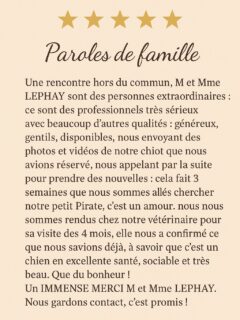 ✨ Nouveau témoignage – Paroles de famille ✨Quelle joie de lire des retours aussi touchants… 🥹🐶
Merci du fond du cœur pour ces mots qui mettent en lumière notre passion et tout l’amour que nous portons à nos petits chihuahuas.Chez nous, chaque famille compte, chaque chiot est unique, et chaque rencontre crée une histoire ❤️📩 Chiots disponibles / prochaines naissances
👉 Lien dans la bio#chihuahua #chihuahualove #elevagechihuahua #eleveurfrancais #chihuahuasofinstagram #chiot #chiotdelove #petitchien #doglover #élevagefamilial #valleedescedresbleus #parolesdefamille #temoignageclient #instadog #chihuahualife #longhairchihuahua #puppylove #petitebouille #dogmom #dogdad #francechiots #chiotsadopter #eleveusepassionnee #eleveursfrancais #petitscoeurs #chihuahuaworld #chihuahuasgram #chienmignon #bonheur