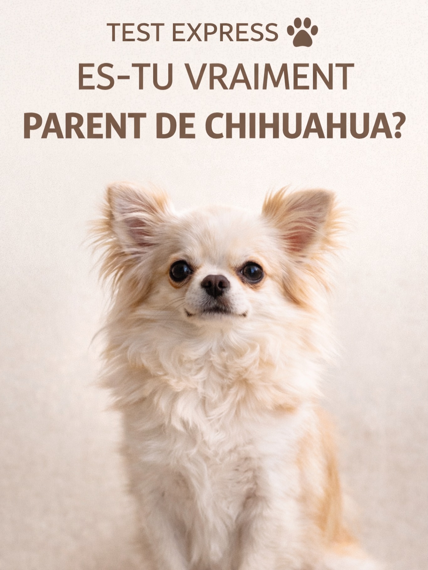 🐶 TEST EXPRESSEs-tu vraiment parent de Chihuahua ?✔️ Tu lui parles comme à un humain (et tu assumes)
✔️ Tu fais attention à ne pas le réveiller, même quand tu dois bouger
✔️ Tu connais ses petites habitudes par cœur
✔️ Tu adaptes ton quotidien à son rythme
✔️ Tu sais qu’il a un caractère… bien trempé 😅👉 Si tu coches au moins 3 cases,
félicitations : tu es officiellement parent de Chihuahua 🐾🤍💬 Dis-nous en commentaire combien de cases tu coches 👀
📲 Et partage à quelqu’un qui va forcément se reconnaître !#chihuahua #chihuahualife #chihuahualovers #chihuahuagram #doglovers #doglife #instadog #dogsofinstagram #petparents #chien #chiens #amourdeschiens #vieavecmondchien #passionchien #petstagram #dogcommunity #chiot #petlover #dogcontent #doghumor #dogdaily #petinfluencer #dogsoftheday #petfamily #dogaddict #smallbreed #chihuahuaworld #furbaby #dogmom #dog