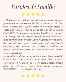 ✨ Paroles de famille ✨Vos mots comptent énormément pour nous et reflètent l’ambiance, la passion et la bienveillance qui entourent nos petits chiots chaque jour 💛« Nous avons fait la connaissance d’un couple passionné et amoureux de leurs animaux. Ils ont pris le temps qu’il fallait pour choisir avec nous le chiot qui nous conviendrait le mieux car le choix était difficile devant ces petites bouilles d’amour !
Cet élevage est très professionnel, on sent le sérieux, la tendresse pour chacun, une hygiène exemplaire. On croirait voir une crèche pour enfants : jouets, confort pour dormir avec couleurs tendres en literie, télévision pour les sociabiliser aux bruits, rien ne manque !
La gentillesse de la dame et de monsieur également, l’écoute, les bons conseils nous ont fait repartir confiants et heureux de notre choix. Nous avons hâte de retrouver notre petit cœur nommée BRINDILLE !
Je recommande à 200% l’élevage de la vallée des cèdres bleus en toute confiance !
En priorité, c’est l’amour et la passion de toute une famille que l’on ressent ! »Merci pour ces magnifiques paroles qui nous vont droit au cœur 🐶✨Plus d’infos en message privé.
Pour voir tous les chiots actuellement disponibles rendez-vous à ce lien :
https://elevage-chihuahuas-lof.fr/chiots-chihuahua-disponibles/#Chihuahua #ParolesDeFamille #ElevageChihuahua #ChiotChihuahua #PassionChihuahua