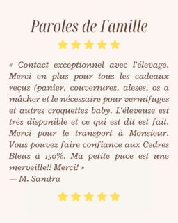 ✨ Paroles de famille ✨Parce que chaque retour compte énormément pour nous, voici encore un témoignage qui nous touche profondément 💛« Contact exceptionnel avec l’élevage. Merci en plus pour tous les cadeaux reçus (panier, couvertures, alèses, os à mâcher et le nécessaire pour vermifuges et autres croquettes baby). L’éleveuse est très disponible et ce qui est dit est fait. Merci pour le transport à Monsieur. Vous pouvez faire confiance aux Cèdres Bleus à 150%. Ma petite puce est une merveille !! Merci ! »Merci du fond du cœur pour ces mots qui reflètent notre engagement au quotidien : disponibilité, sérieux, accompagnement et surtout beaucoup d’amour pour nos petits chiens 🐶💛Ces paroles de famille sont notre plus belle récompense ✨Plus d’infos en message privé.
Pour voir tous les chiots actuellement disponibles rendez-vous à ce lien :
https://elevage-chihuahuas-lof.fr/chiots-chihuahua-disponibles/#ParolesDeFamille #Chihuahua #ChiotChihuahua #ChihuahuaLove #ElevageChihuahua ChihuahuaLife