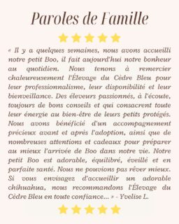 ✨ Paroles de famille ✨Il y a quelques semaines, Boo a rejoint sa nouvelle famille… et il fait aujourd’hui leur bonheur au quotidien 🐶💛Un immense merci pour ce magnifique retour qui nous touche profondément :« Nous tenons à remercier chaleureusement l’Élevage du Cèdre Bleu pour leur professionnalisme, leur disponibilité et leur bienveillance. Des éleveurs passionnés, à l’écoute, toujours de bons conseils et qui consacrent toute leur énergie au bien-être de leurs petits protégés.
Nous avons bénéficié d’un accompagnement précieux avant et après l’adoption, ainsi que de nombreuses attentions et cadeaux pour préparer au mieux l’arrivée de Boo dans notre vie.
Notre petit Boo est adorable, équilibré, éveillé et en parfaite santé. Nous ne pouvions pas rêver mieux. Si vous envisagez d’accueillir un adorable chihuahua, nous recommandons l’Élevage du Cèdre Bleu en toute confiance. Merci encore pour tout ce que vous faites pour vos petits amours. »Ces mots sont notre plus belle récompense 💛✨#ParolesDeFamille #Chihuahua #ChiotChihuahua #ChihuahuaLove #ElevageChihuahua ChihuahuaLife