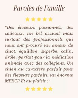 🤎 Recevoir un message comme celui-ci est la plus belle des récompenses. 🐾Chaque départ est un moment rempli d’émotion. Notre plus grande satisfaction est de voir nos petits Chihuahuas grandir dans des familles aimantes et s’épanouir pleinement.Aujourd’hui, nous souhaitions partager avec vous ce magnifique témoignage qui nous touche énormément :« Des éleveurs passionnés, des cadeaux, un bel accueil mais surtout des professionnels qui nous ont procuré un amour de chiot, équilibré, superbe, câlin, drôle, parfait pour la médiation animale avec des collégiens. Un chien au caractère parfait pour des éleveurs parfaits, un énorme MERCI ! Et au plaisir ! » 🤎Merci infiniment à cette adorable famille pour sa confiance et pour ces mots qui nous vont droit au cœur.Chaque Chihuahua qui naît à la Vallée des Cèdres Bleus est élevé avec passion, dans un environnement familial, avec un seul objectif : offrir à chaque famille un compagnon bien dans ses pattes, équilibré et prêt à partager une vie remplie d’amour.Ces retours nous rappellent chaque jour pourquoi nous exerçons ce métier avec autant de passion.✨ Merci à toutes les familles qui nous font confiance depuis toutes ces années.Chihuahuas de la Vallée des Cèdres Bleus 🤎
🌐 https://elevage-chihuahuas-lof.fr#chihuahua #chihuahualove #avisclient #chiensdefrance #elevagefamilial