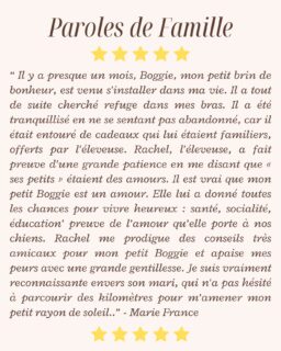 ⭐️ Un immense merci pour ce magnifique témoignage qui nous touche profondément. ❤️Lire des mots comme les vôtres est la plus belle des récompenses. Savoir que notre petit Boggie s’est si bien adapté et qu’il apporte autant de bonheur à votre quotidien nous remplit de joie. 🥹Nous mettons tout notre cœur à offrir à chacun de nos chiots le meilleur départ possible, avec beaucoup d’amour, de socialisation et d’attention. Les voir s’épanouir dans leur nouvelle famille est ce qui nous rend le plus heureux.Merci également pour vos gentils mots à notre égard. C’est toujours un plaisir de vous accompagner, avant comme après le départ de nos petits protégés, et de rester disponibles pour répondre à vos questions.Nous vous souhaitons encore de très belles années de complicité avec Boggie, ce petit rayon de soleil. ❤️ Merci infiniment pour votre confiance et pour cette si belle recommandation. 🐶🥰