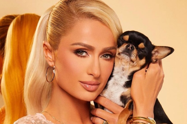 Chihuahua et Paris Hilton