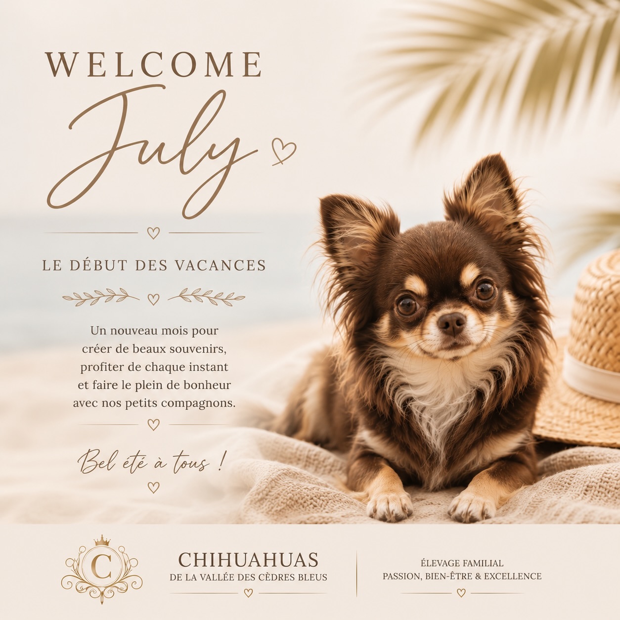 ☀️🌿 Bienvenue en juillet ! 🌿☀️Le mois de juillet marque le début des vacances, des journées ensoleillées et des précieux moments passés avec ceux que l’on aime… sans oublier nos petits compagnons à quatre pattes. 🤎🐾Que vous partiez à la mer, à la montagne, à la campagne ou que vous profitiez simplement de votre région, nous vous souhaitons de merveilleuses vacances, remplies de souvenirs, de détente… et de câlins avec vos Chihuahuas. ✨Et maintenant, à vous de nous raconter ! 👇🏖️ Vos Chihuahuas vous accompagnent-ils en vacances ?
🚗 Ou restent-ils entre les mains d’un proche ou d’un pet-sitter de confiance ?On est curieux de découvrir vos habitudes… et n’hésitez pas à nous dire où vous partez cette année ! 🌍☀️Très bel été à tous. Prenez soin de vous… et de vos petites truffes. 🤎Chihuahuas de la Vallée des Cèdres Bleus
🌐 https://elevage-chihuahuas-lof.fr#chihuahua #chihuahualove #vacances #dogsofinstagram #chihuahualife