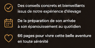 conseil adoptions chihuahuas - ebook complet pas cher